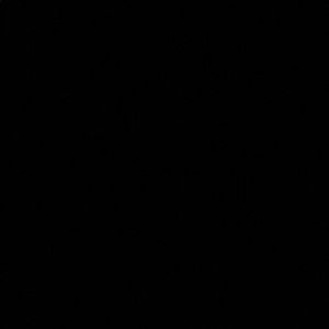 Meet your Posher, Felipe